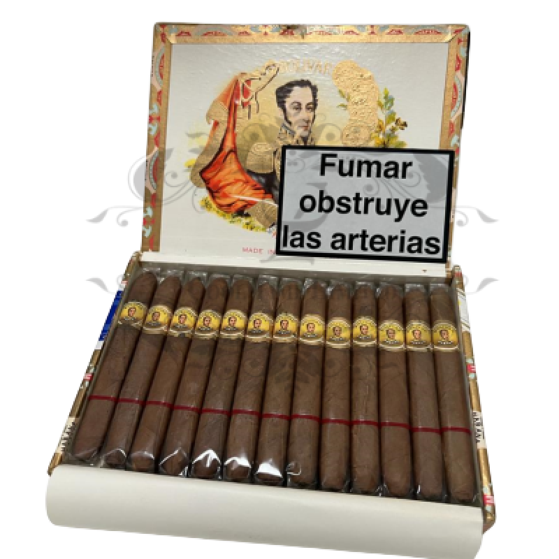 BOLIVAR BELVEDERES 2001