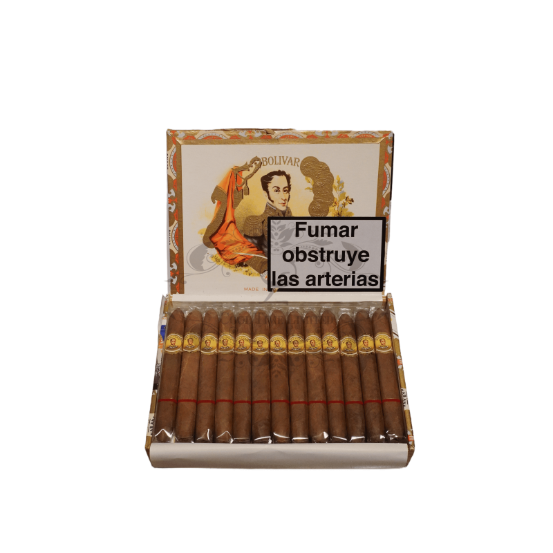 BOLIVAR BELVEDERES 2001