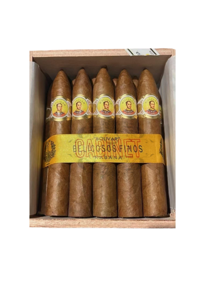 BOLIVAR BELICOSOS FINOS