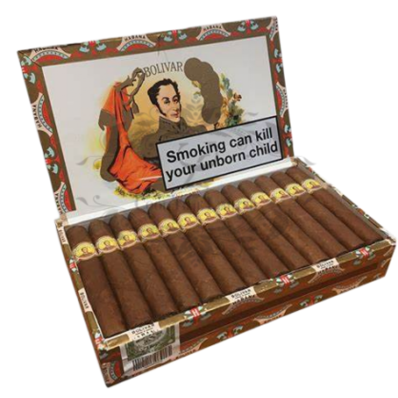 BOLIVAR CORONA JUNIOR 2016