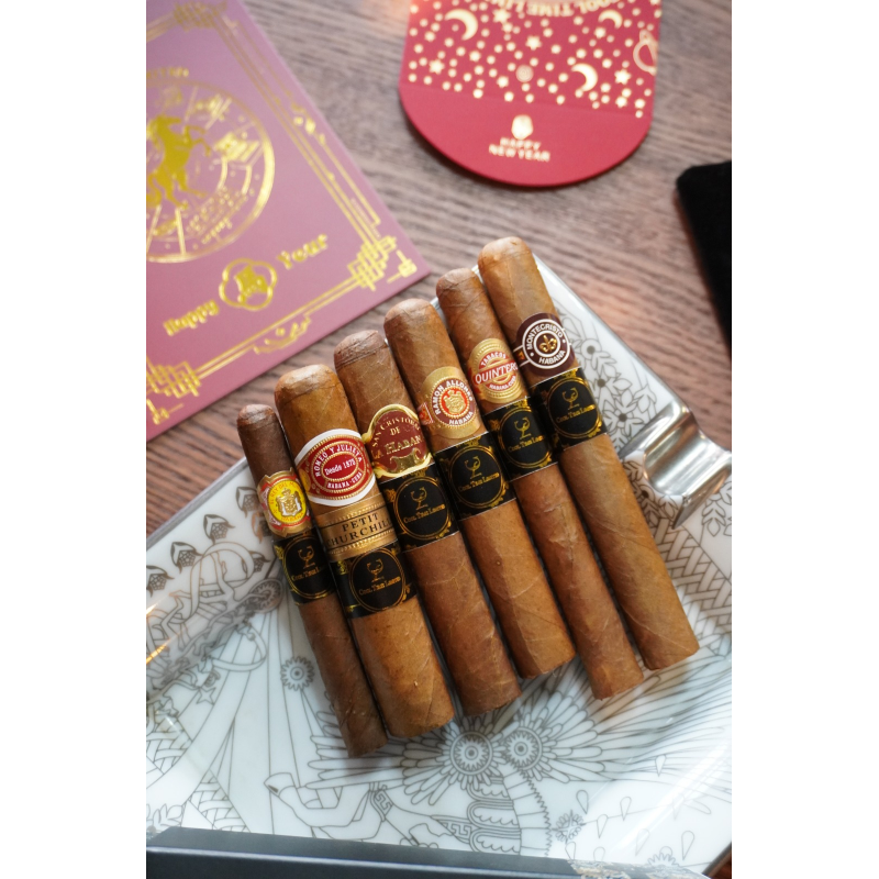 BEGINNER STARTER COMBINATION (III)