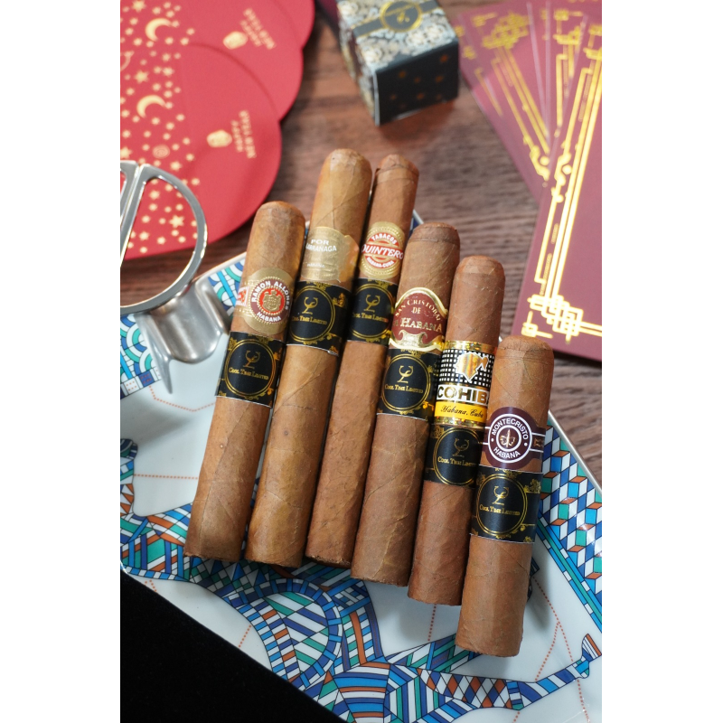 BEGINNER STARTER COMBINATION (I）