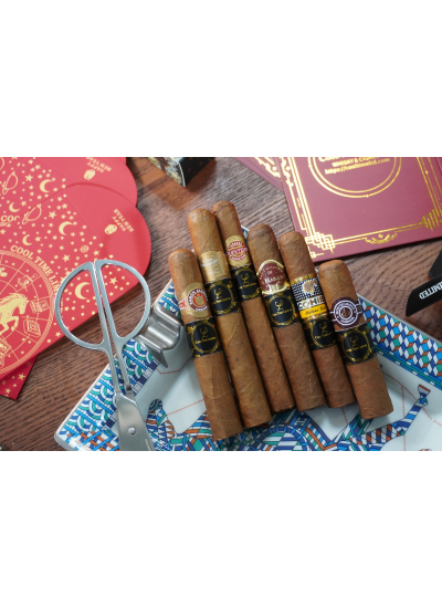 BEGINNER STARTER COMBINATION (I）