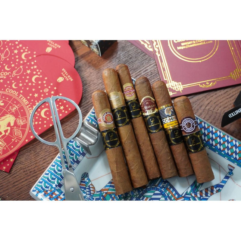 BEGINNER STARTER COMBINATION (I）