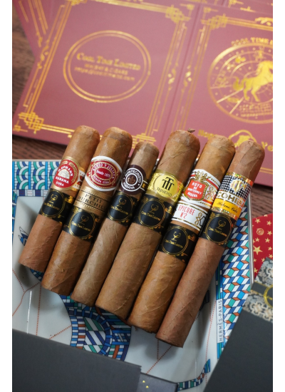 BEGINNER STARTER COMBINATION (II）