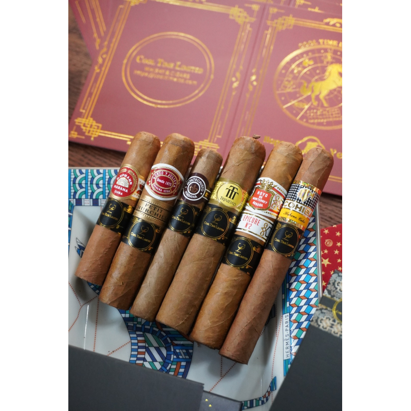 BEGINNER STARTER COMBINATION (II）