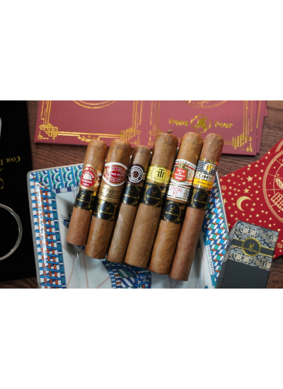 BEGINNER STARTER COMBINATION (II）