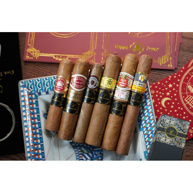 BEGINNER STARTER COMBINATION (II）