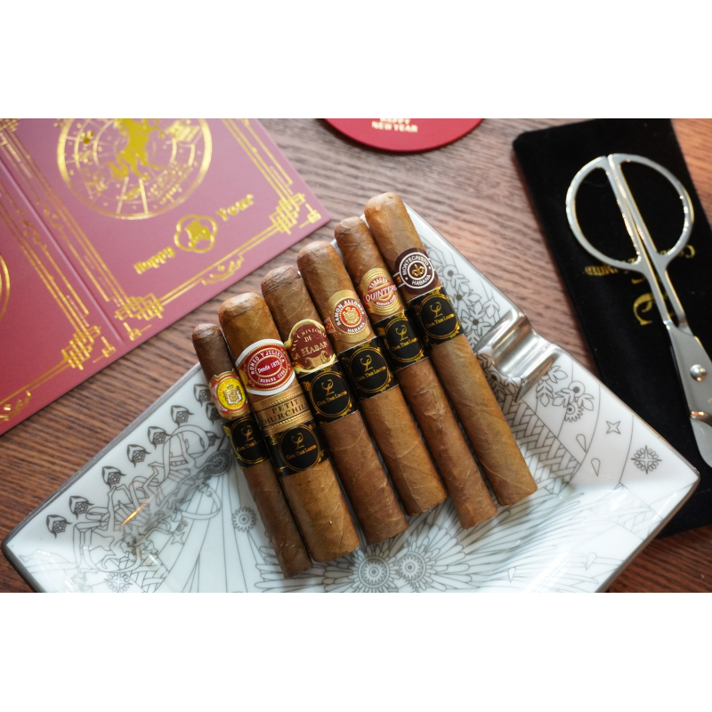 BEGINNER STARTER COMBINATION (III)