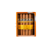 COHIBA SIGLO II