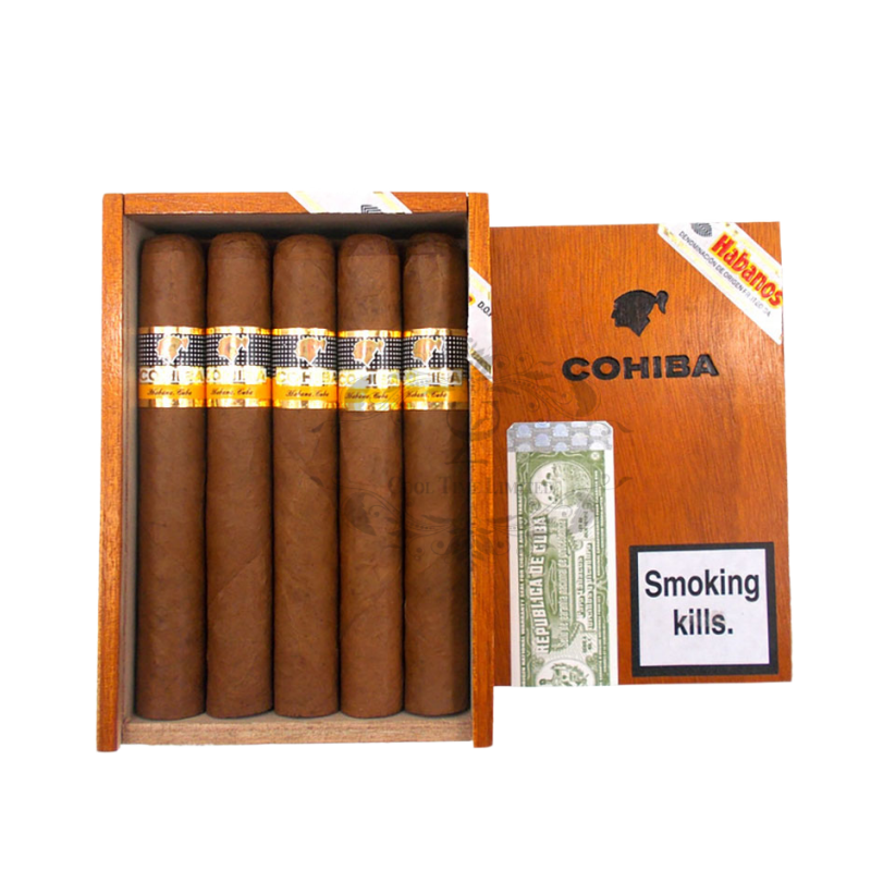 COHIBA SIGLO VI 