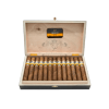 COHIBA MADURO 5 GENIOS 2011-2012