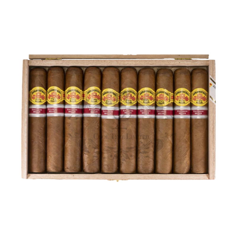 DIPLOMATICOS EL DIPUTADO ER BELUX 2019