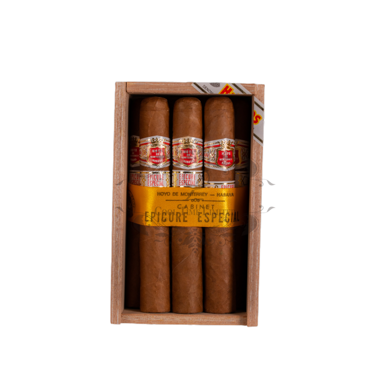 HOYO DE MONTERREY EPICURE ESPECIAL