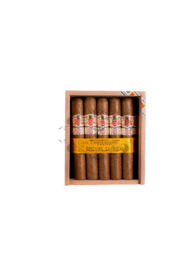 HOYO DE MONTERREY EPICURE ESPECIAL