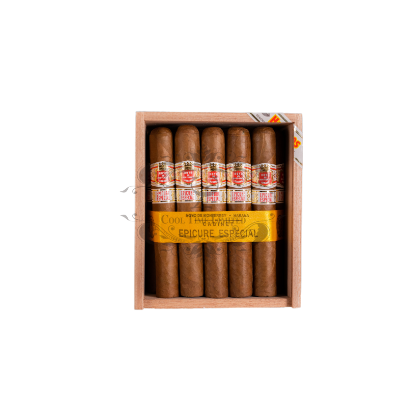 HOYO DE MONTERREY EPICURE ESPECIAL