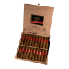 PARTAGAS SERIE D NO.6