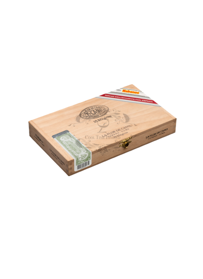 LA FLOR DE CANO MAGICOS RE ESPANA