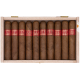 PARTAGAS SERIE D NO.5