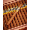 COHIBA EXQUISITOS